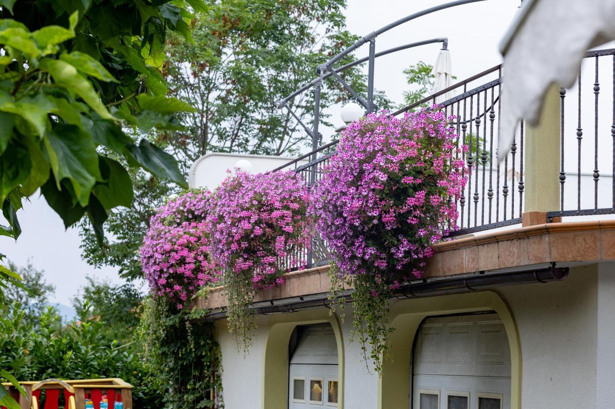 Villa Tourist Farm Pri Andrejevih Narin Exterior foto